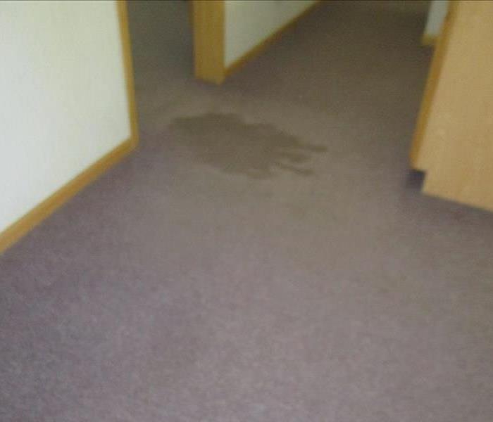 carpet with a stain