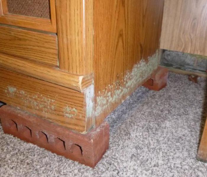 mold on cabinet