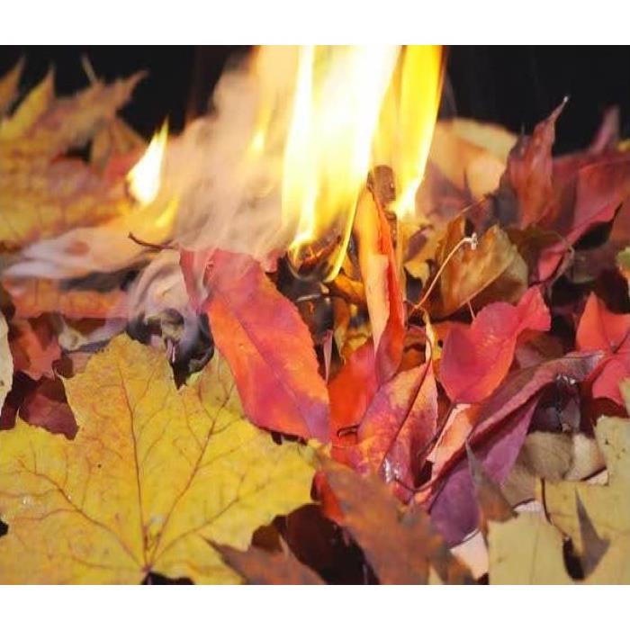 burning leaves
